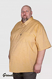 Рубашка мужская А 126 Ж большого размера